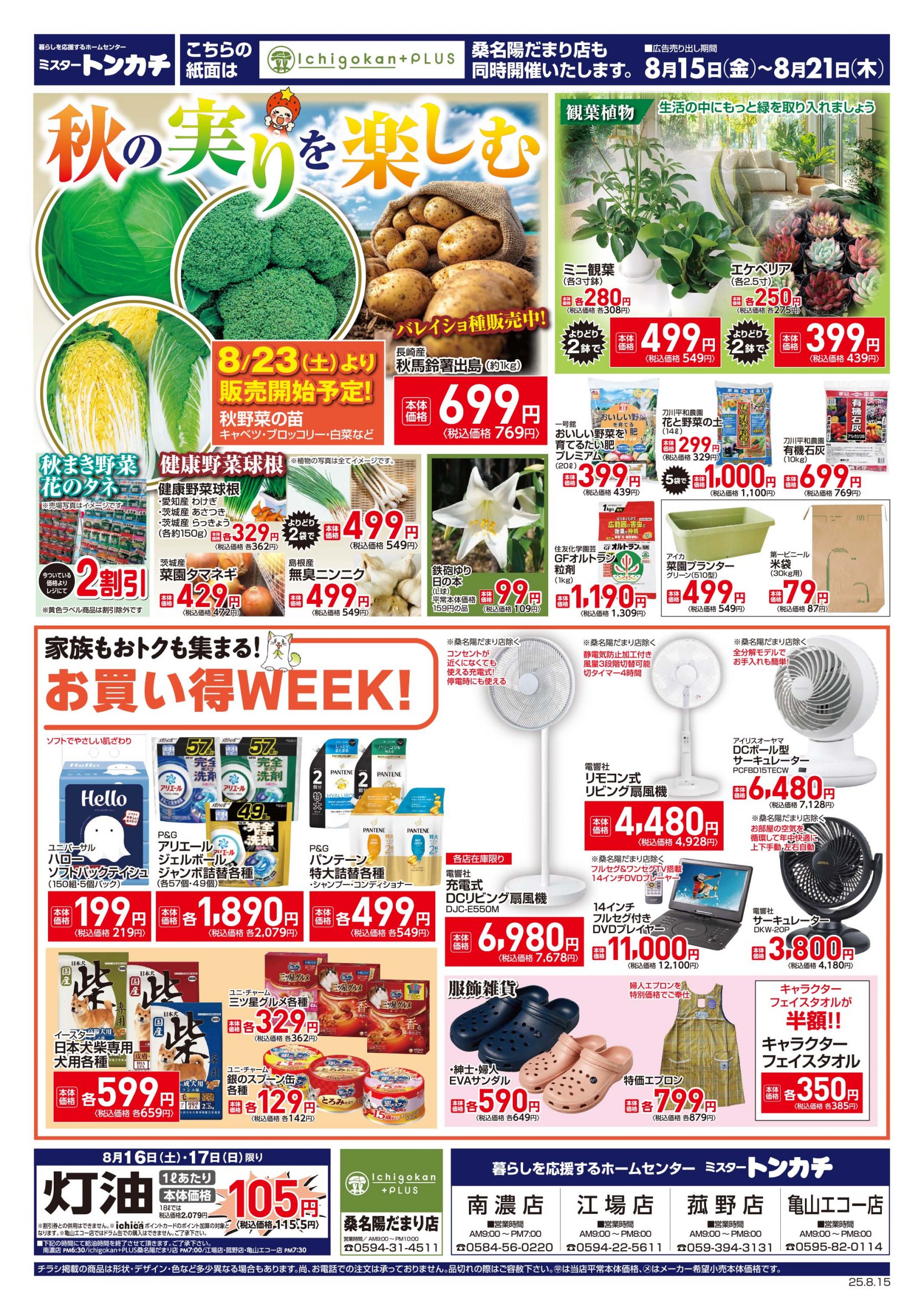 ミスタートンカチ8月15日(金)～8月21日(木)特売情報