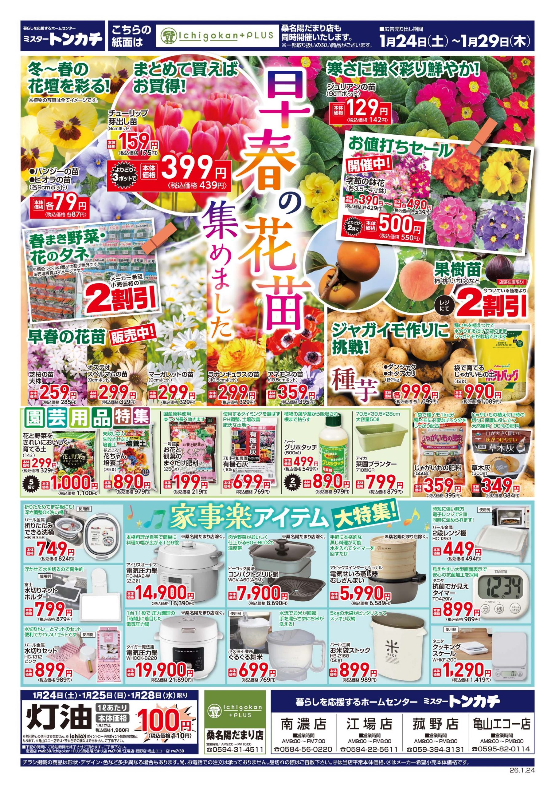 ミスタートンカチ1月24日(土)～1月29日(木)特売情報