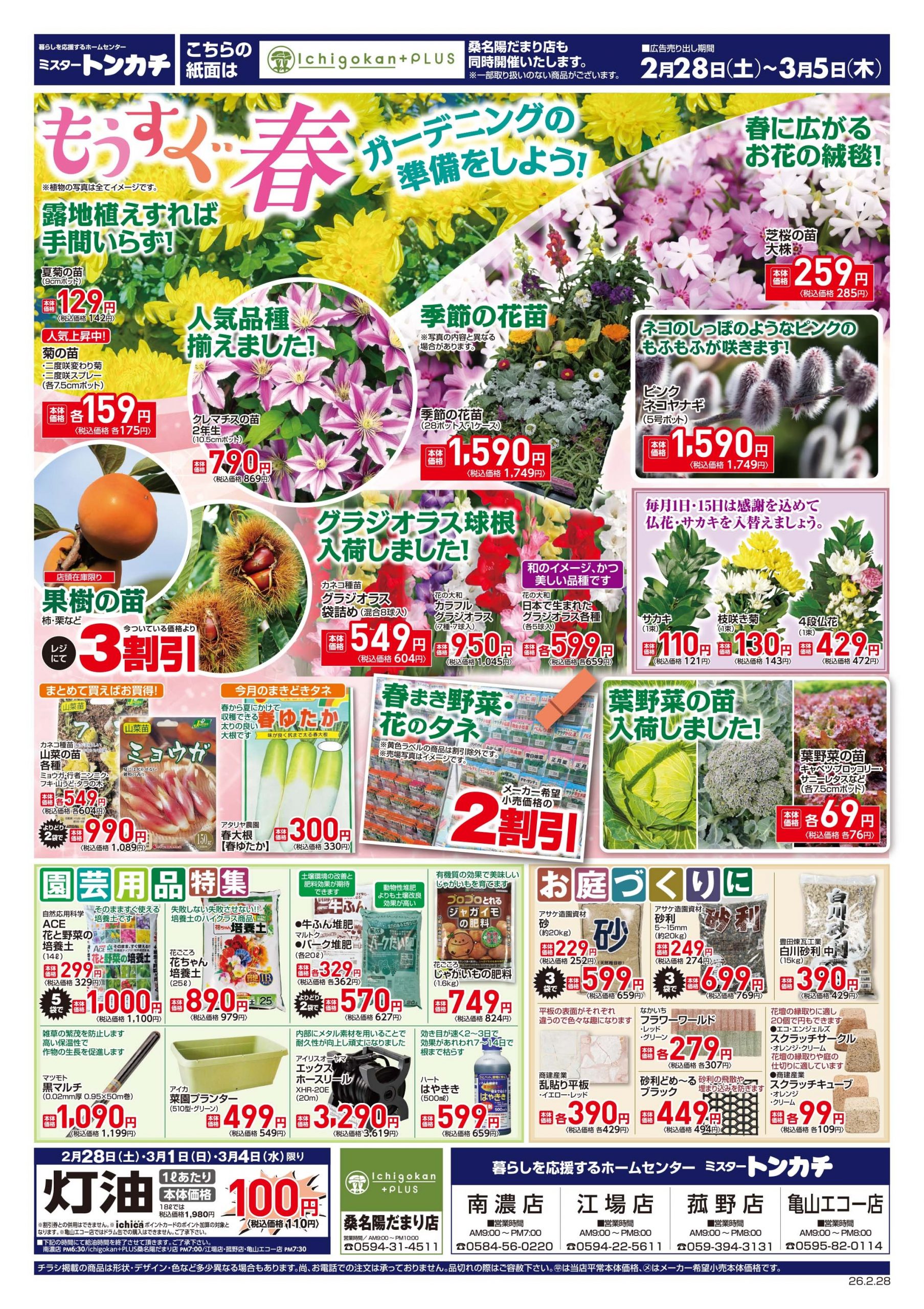 ミスタートンカチ2月28日(土)～3月5日(木)特売情報