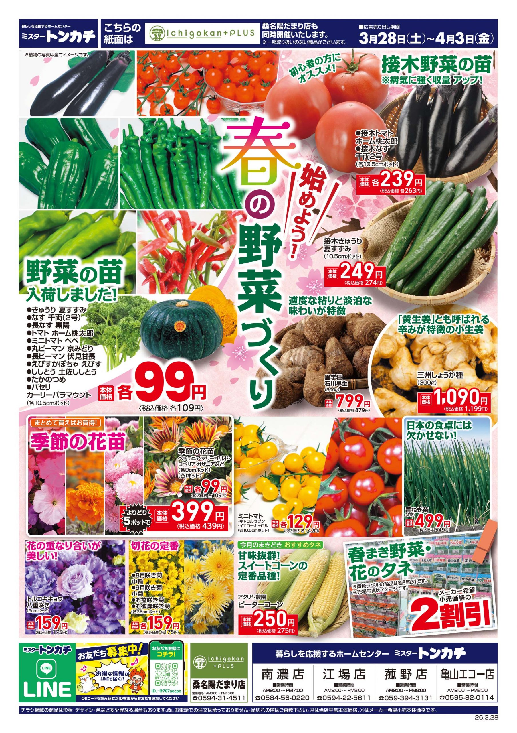 ミスタートンカチ3月28日(土)～4月3日(金)特売情報