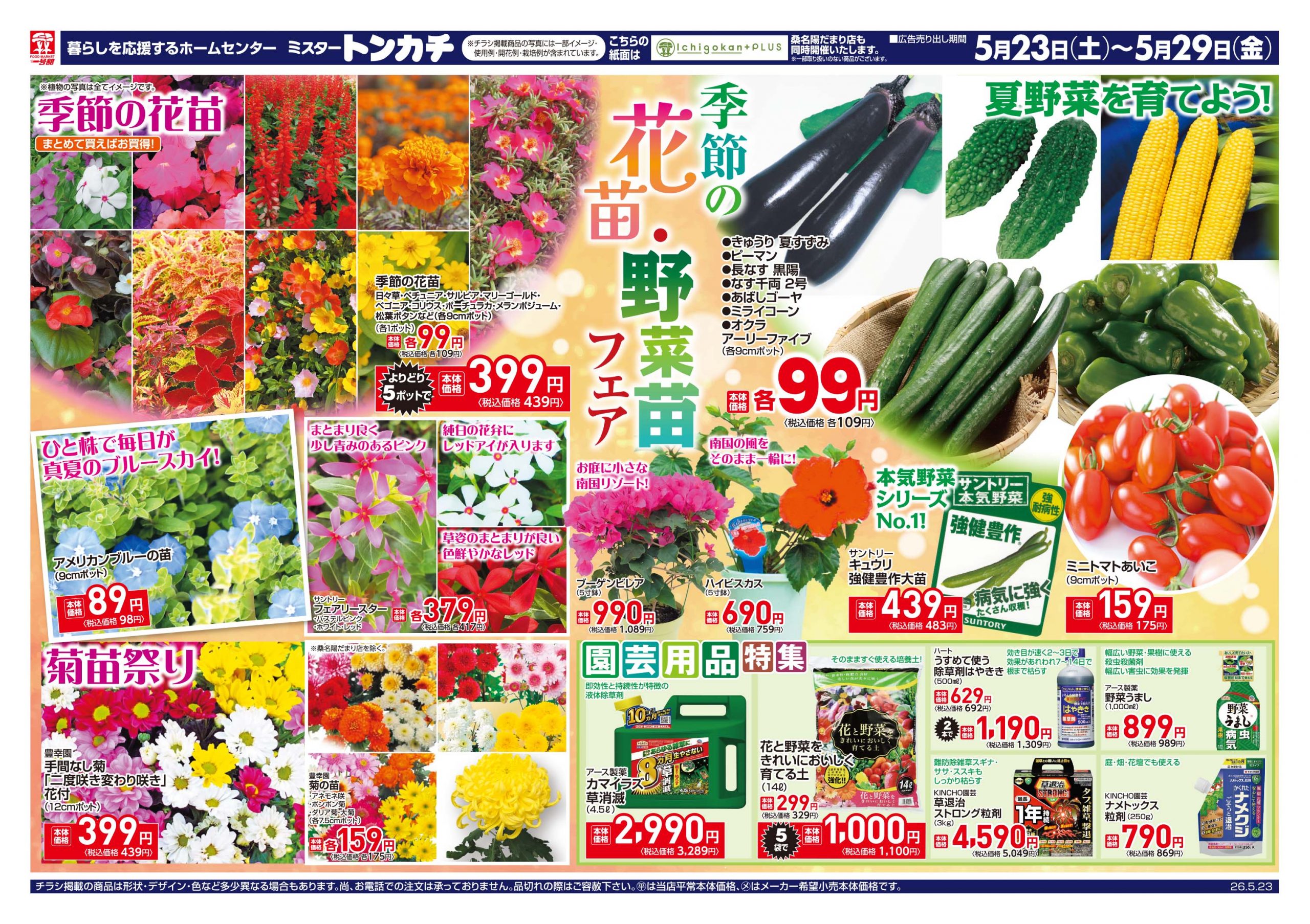 Ichigokan+PLUS 桑名陽だまり店 - 店舗情報・チラシ | 一号舘