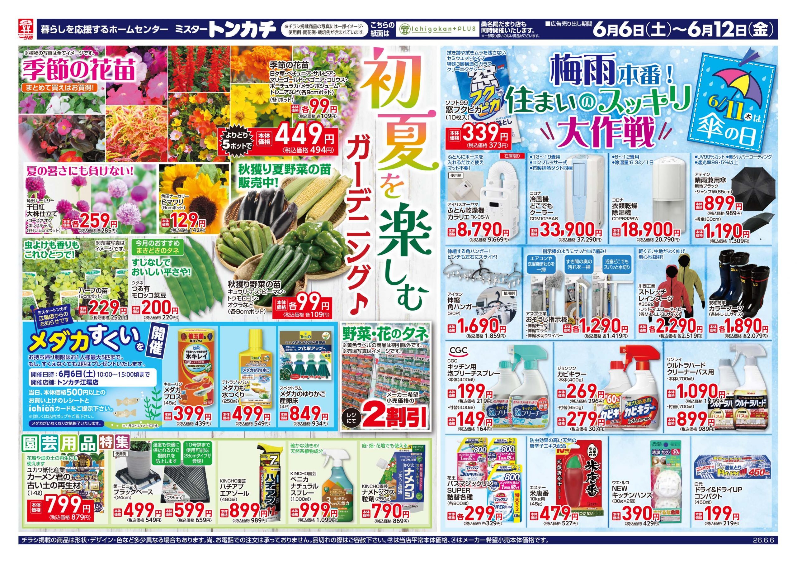Ichigokan+PLUS 桑名陽だまり店 - 店舗情報・チラシ | 一号舘